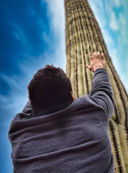 A man standing in front of a tall cactus. Photo of a man admiring a majestic saguaro cactus in the scenic Saguaro National Park