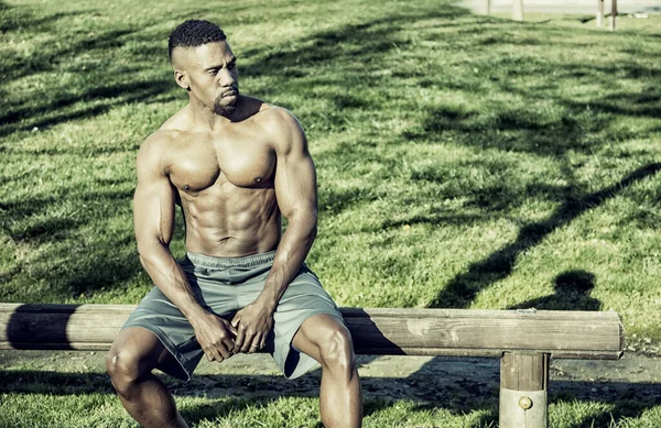 A shirtless muscular black man sitting on a bench in a park. Photo of a shirtless man enjoying nature in a peaceful park