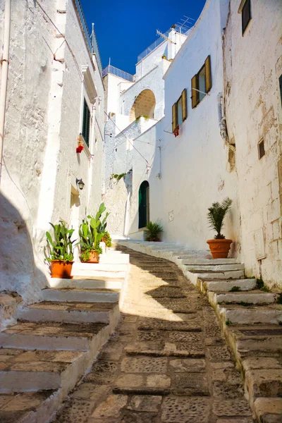 A cobblestone street lined with potted plants. A charming street in Ostuni, Italy, adorned with potted plants and cobblestone paving