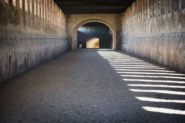A tunnel with a light at the end of it. Photo of a tunnel with a captivating light at the end, beckoning with a sense of mystery and possibility