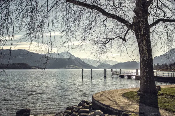 Μαγευτική Θέα Της Λίμνης Λουκέρνη Της Ελβετίας Μια Ηλιόλουστη Ημέρα Royalty Free Εικόνες Αρχείου