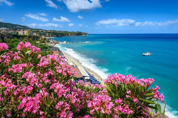 ビーチとライラックの花の後ろからトロピーナビューで海 カラブリア イタリア ロイヤリティフリーのストック写真