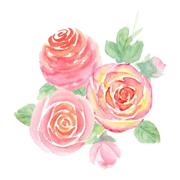 Acuarela Rosa Rosa Flor Hojas Brotes Aislados Sobre Fondo Blanco —  Fotos de Stock