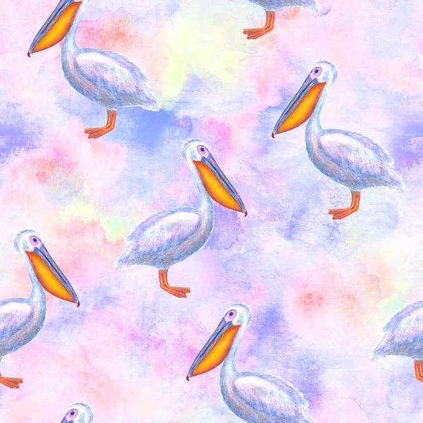 Suluboya Beyaz Pelikanlar Çok Renkli Pürüzsüz Desenli Yapımı Suluboya Pelikan — Stok fotoğraf