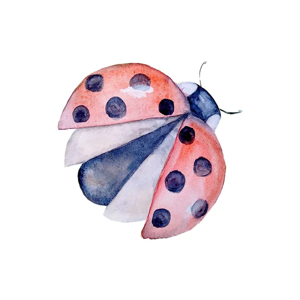 Akvarell Botaniska Sommar Färgglada Flygande Nyckelpiga Isolerad Vit Bakgrund Akvarell — Stockfoto