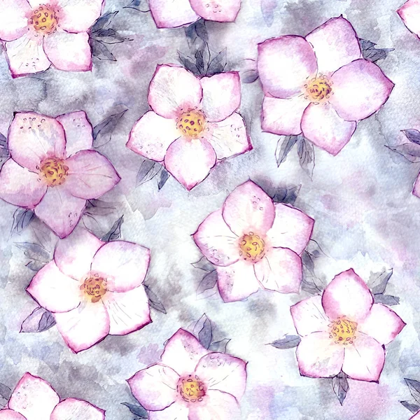 컬러꽃은 분홍빛 보라색 솔기없는 무늬를 가지고 스프링 손으로 식물학적 삽화이다 — 스톡 사진
