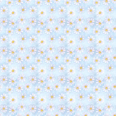 Suluboya papatya çiçekleri. Güzel çiçeksiz desen. Suluboya el, yaz aylarında mavi arka planda botanik resimlerini çizdi. Tekstil, kumaş, duvar kağıdı, ambalaj kağıdı baskısı.