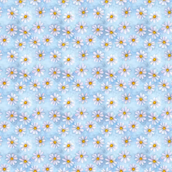 Suluboya papatya çiçekleri. Güzel çiçeksiz desen. Suluboya el, yaz aylarında mavi arka planda botanik resimlerini çizdi. Tekstil, kumaş, duvar kağıdı, ambalaj kağıdı baskısı.