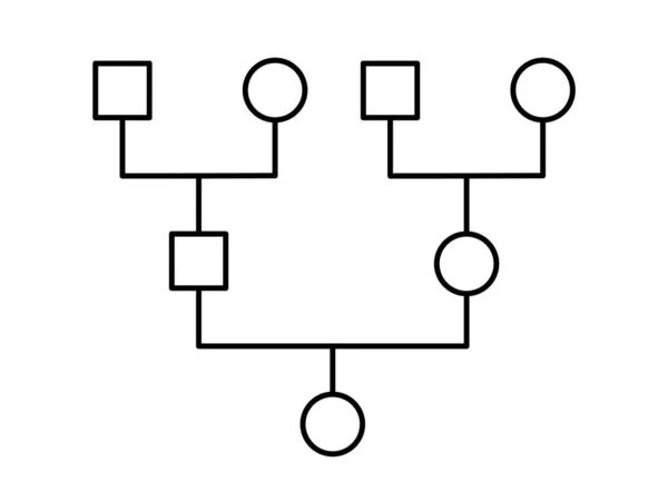Genograma Árbol Genealógico Diagrama Simple Mostrando Los Miembros Familia Estructura — Vector de stock