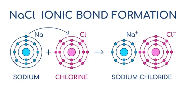 Sodium Chloride Ionic Bond Formation Nacl Structure Sodium Chlorine Atom — Stock Vector
