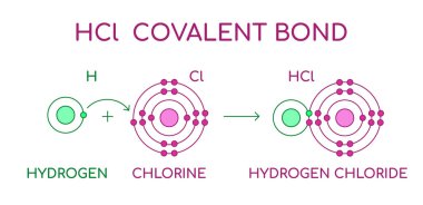 HCI Hidrojen Klorür kovalent bağı. Diatomik molekül, hidrojen atomu H ve klor atomu Cl 'den oluşur. Sıvı haldeki hidroklorik asit. Lewis atomik yapısı. Vektör illüstrasyonu. 