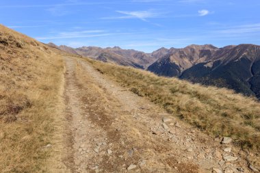 Romanya 'nın Fagaras Dağları' ndaki orman yolu