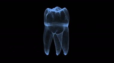 Molar tooth rotation, dental background 3D animation