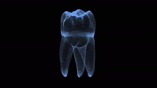 Molar Tooth Rotation Dental Background Animation — Vídeos de Stock