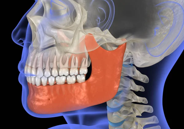 人間の頭のX線ビューでは 顎のマーク 歯科用3Dイラスト — ストック写真