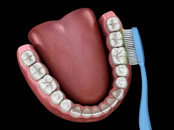 Toothbrush cleaning teeth. Medically accurate 3D illustration of oral hygiene.