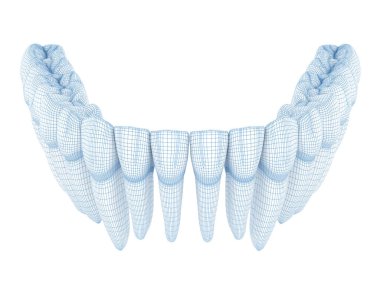 Alt çene kemiği insan ve diş morfolojisi. Kablo 3d model illüstrasyonu