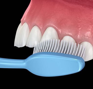 Diş fırçası diş temizliği. Ağız hijyeninin tıbbi açıdan doğru üç boyutlu çizimi.