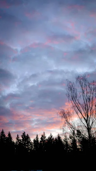 Belo Pôr Sol Fantástico Céu Rosa Azul Com Nuvens Pimenta — Fotografia de Stock