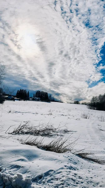 stock image Panorama of beautiful winter landscape. Field of white snow and ice on horizon. Dramatic sky with cirrus clouds. Light and airy feel and light color palette. Vertical photo. High quality photo