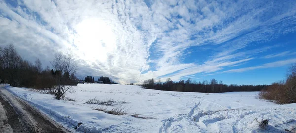 Panorama Bellissimo Paesaggio Invernale Campo Neve Bianca Ghiaccio All Orizzonte — Foto Stock