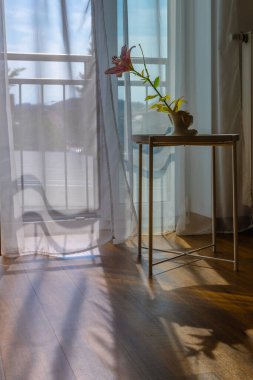 Açık pencereli modern oda iç mimarisi. Gölge arkaplanında sabah güneş ışınları olan şeffaf tül. Kahve masasındaki vazoda çiçek. Dikey fotoğraf. Yüksek kalite fotoğraf