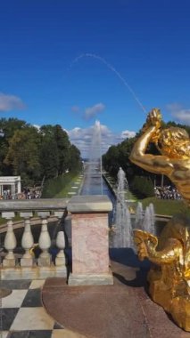 St. Petersburg, Rusya - 23 Ağustos 2023: Peterhof Çeşmeleri. Büyük Şelale 'nin altın heykelleri ve Peterhof Sarayı' ndaki Samson Çeşmesi. Dikey video