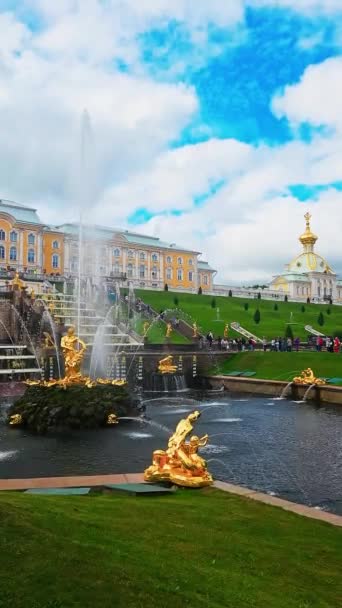 圣彼得堡 2023年8月23日 彼得霍夫之泉 彼得霍夫宫的大瀑布和参孙喷泉的金像 垂直录像 — 图库视频影像