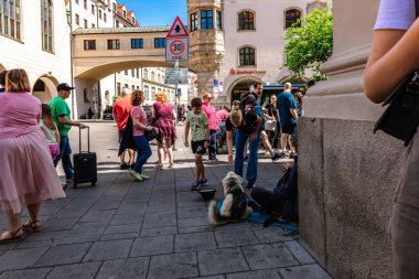 Münih, Almanya - 22 Temmuz 2023: İnsanlar Münih, Bavyera 'daki evsiz adam ve köpeğini besliyor