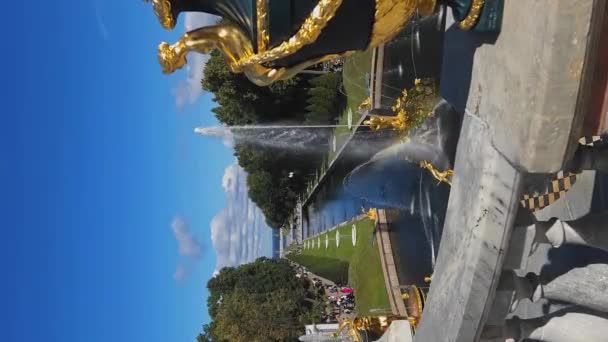 圣彼得堡 2023年8月23日 彼得霍夫之泉 彼得霍夫宫的大瀑布和参孙喷泉的金像 垂直录像 — 图库视频影像