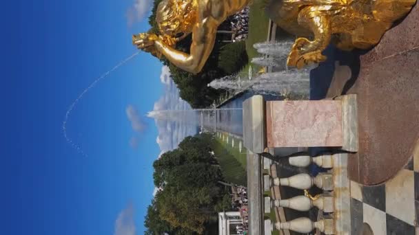 Санкт Петербург Россия Августа 2023 Года Петергоф Золотые Статуи Большого — стоковое видео
