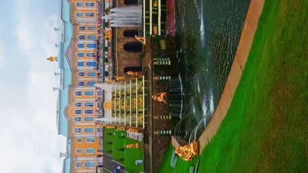 Petersburg Russia August 2023 Fountains Peterhof Golden Statues Grand Cascade — Stock Video