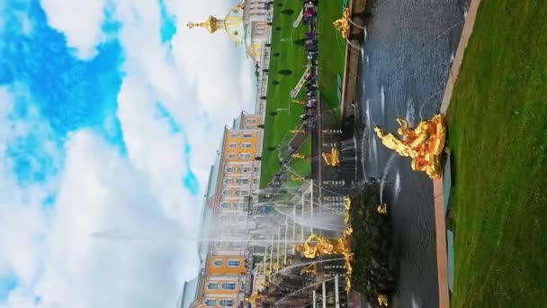Sankt Petersburg Ryssland Augusti 2023 Peterhofs Fontäner Guldstatyer Grand Cascade — Stockvideo