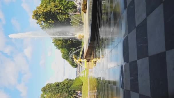 Petersburg Russland August 2023 Brunnen Von Peterhof Goldene Statuen Des — Stockvideo