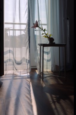 Açık pencereli modern oda iç mimarisi. Gölge arkaplanında sabah güneş ışınları olan şeffaf tül. Kahve masasındaki vazoda çiçek. Dikey fotoğraf. Yüksek kalite fotoğraf