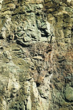 Cliff arkaplan görüntüsünü kapat. Kaya dokusu.