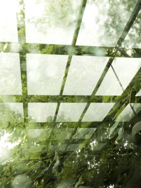 Ağaç yansımalarının soyut görüntüsü.