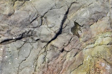 Doğal taş yüzeyi yakın görünüm.