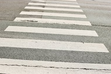 Zebra görüntüyü kapatıyor.