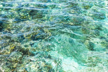 Canlı, yorucu suyu olan en temiz deniz yüzeyi.