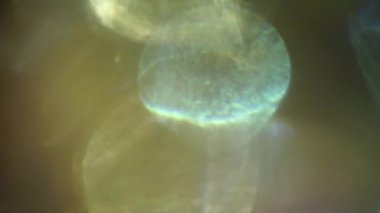 Renkli dinamik fütüristik psikedelik ışıldayan arka plan. Yaratıcı kullanım için geçişler. 