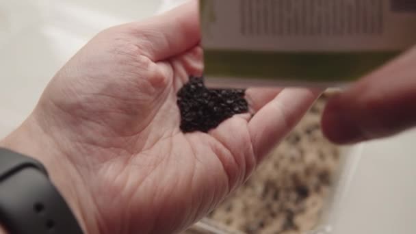 Змішайте Насіння Цибулі Наповнене Вітамінами Долоні Фермера Вирощуючи Мікрогрін Вдома — стокове відео