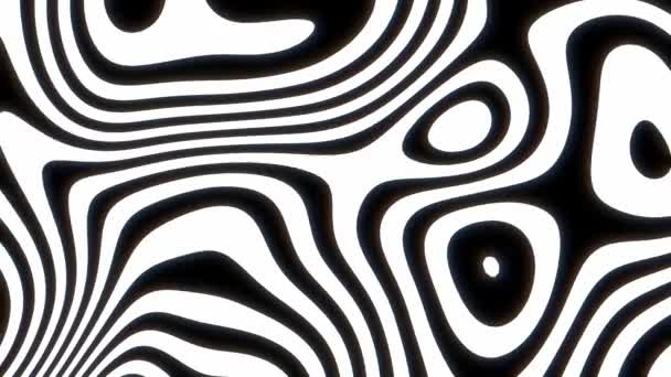 Zwart Wit Vloeibare Moderne Psychedelische Achtergrond Monochrome Abstracte Dynamische Textuur — Stockvideo