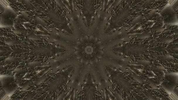 Kaleidoskop Abstrakte Fraktale Blume Meditation Psychedelische Formen Trippy Futuristische Transformationen — Stockvideo
