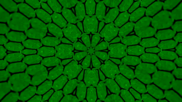 Αφηρημένο Fractal Λουλούδι Διαλογισμό Ψυχεδελικά Σχήματα Trippy Φουτουριστικό Μετασχηματισμούς Φόντο — Αρχείο Βίντεο