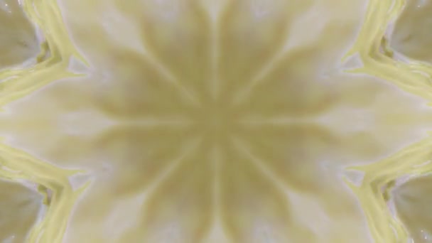 Pattern Geometrical Surrealistic Substance Flashing Fantasy Mandala Hypnotic Tunnel Video — Vídeo de stock