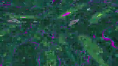 Flickering multi-colored elements, voronoi texture with distortion, imitation of psychedelic trip, trend animation, creative background. 4k resolution.