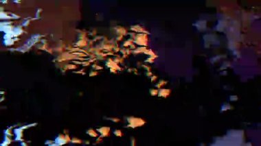 Dark and moody video intro with glitch and grain effects. Ideal for creating a mysterious and moody video intro. 