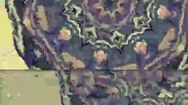 Grunge Glimmer Torzított Villogó Kijelző Zaj Képernyő Interferencia Prores Felvételek — Stock videók