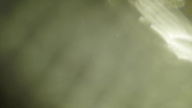 Bokeh ışık sızıntıları ile yumuşak bulanık arkaplan. Tasarım, video ve web projeleriniz için kullanın.